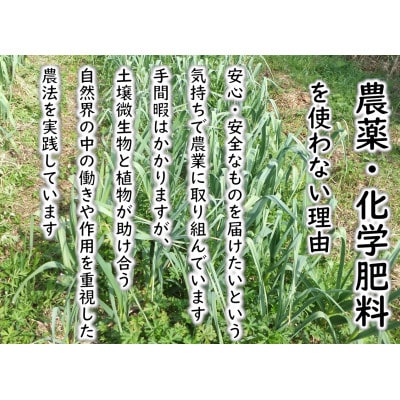 【期間限定発送】 にんにく 国産 1kg