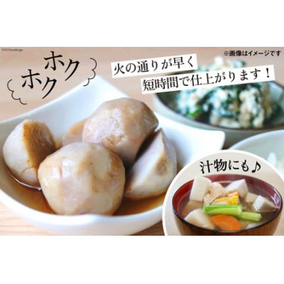 【期間限定】里芋(赤芽) 約2kg