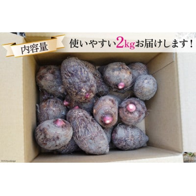 【期間限定】里芋(赤芽) 約2kg