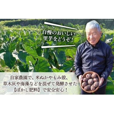 【期間限定】里芋(赤芽) 約4kg