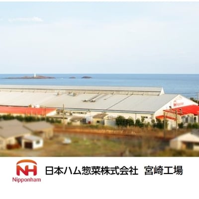 【日本ハム惣菜宮崎工場】チキチキボーン(R)　鶏かわチップス27g×12