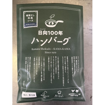日向100年ハンバーグ　2種　計6個