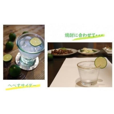 手搾りへべす果汁2本セット