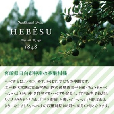 手搾りへべす果汁2本セット