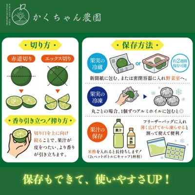 【期間限定発送】かくちゃん農園の産地直送 日向市発祥 採れたてへべす(平兵衛酢) 約2kg