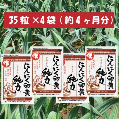 2023年3月発送開始『定期便』にんにく卵黄 純力 4袋(4ヶ月分)全3回