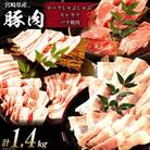 宮崎県産 豚のトンカツ・焼肉・しゃぶしゃぶセット 計1.4kg(日向市)