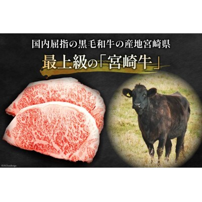 宮崎牛 ロースステーキ 250g×2 計500g(日向市)