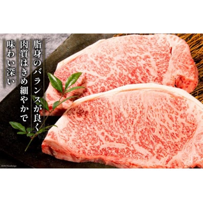 宮崎牛 ロースステーキ 250g×2 計500g(日向市)