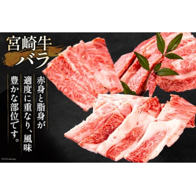 【毎月定期便】宮崎牛 バラエティAコース 計 1.3kg(日向市)全3回