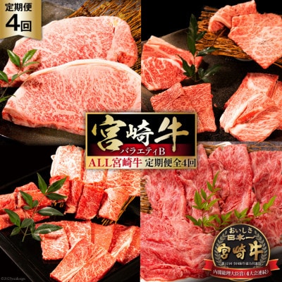 【毎月定期便】宮崎牛 バラエティBコース 計 1.7kg(日向市)全4回