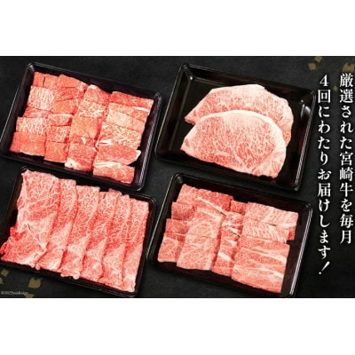 【毎月定期便】宮崎牛 バラエティBコース 計 1.7kg(日向市)全4回