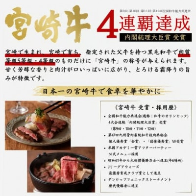 【毎月定期便】宮崎牛 バラエティBコース 計 1.7kg(日向市)全4回