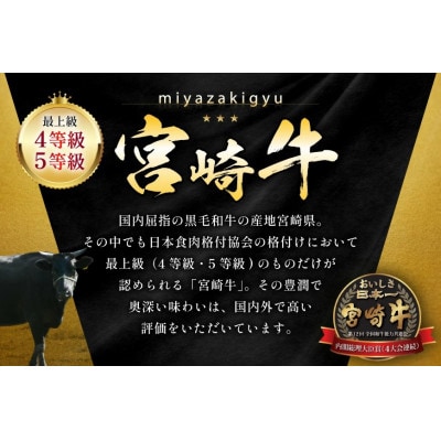 【毎月定期便】宮崎牛 バラエティBコース 計 1.7kg(日向市)全4回