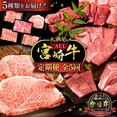 【毎月定期便】宮崎牛 バラエティCコース 計 2.1kg(日向市)全5回