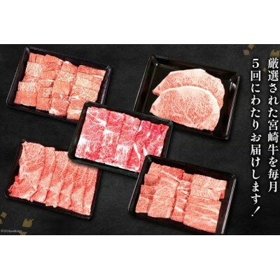 【毎月定期便】宮崎牛 バラエティCコース 計 2.1kg(日向市)全5回