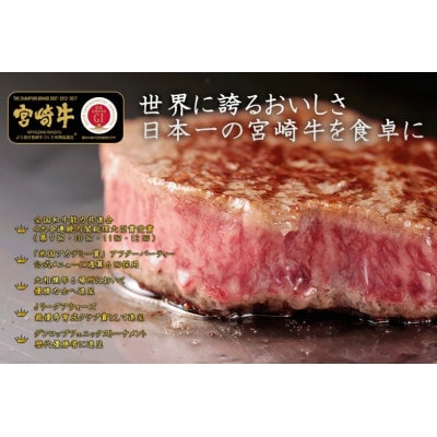 【毎月定期便】宮崎牛 バラエティCコース 計 2.1kg(日向市)全5回