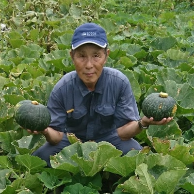 甘くてほくほく　くりカボチャ(完熟) 2個