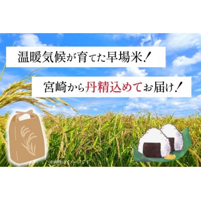 宮崎県産 コシヒカリ 新米 白米 10kg【令和7年産】
