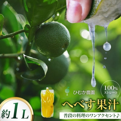 宮崎 100%ストレート へべす果汁 1L