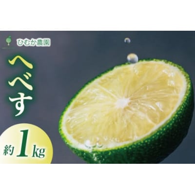 【期間限定発送】宮崎 種が少ない ひむか農園のへべす 1kg 化粧箱入り