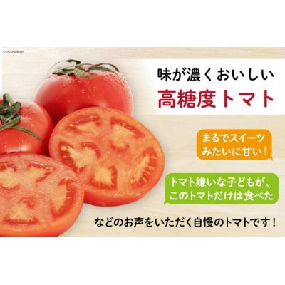 こだわりのホントに美味しい 高糖度トマト「七変化」(7～13玉)化粧箱入り