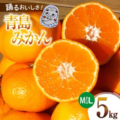 【期間限定発送】踊るおいしさ!味濃く甘い! 青島みかん 5kg