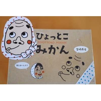 【期間限定発送】踊るおいしさ!味濃く甘い! 青島みかん 5kg