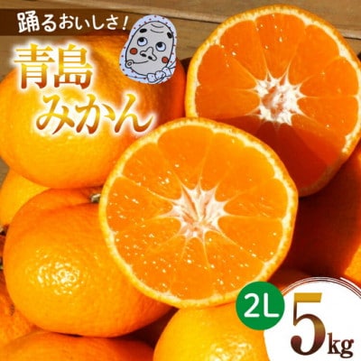【期間限定発送】踊るおいしさ!味濃く甘い! 青島みかん 2L 5kg