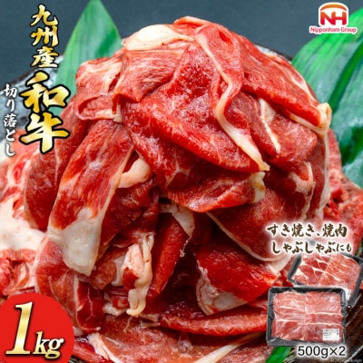 九州産和牛切り落とし500g×2(日向市)