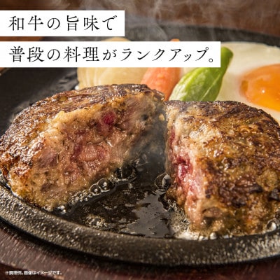 宮崎県産和牛粗挽きミンチ1kg(500g×2P)(日向市)