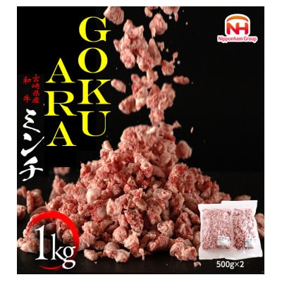 宮崎県産和牛GOKUARAミンチ1kg(500g×2P)(日向市)