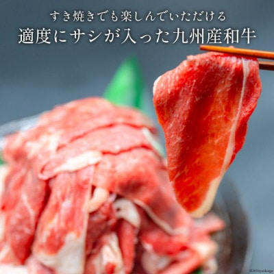 九州産和牛切り落とし3kg(500g×6個)(日向市)
