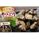 【新登場】 炭火焼鳥 炭火焼風やきとり 生タイプ 塩だれ 200g×6P(日向市)