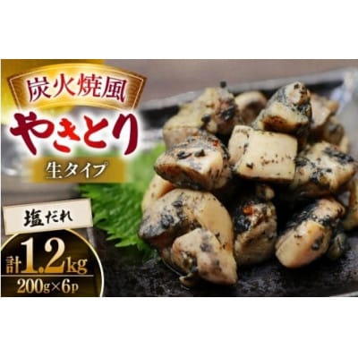 【新登場】 炭火焼鳥 炭火焼風やきとり 生タイプ 塩だれ 200g×6P(日向市)