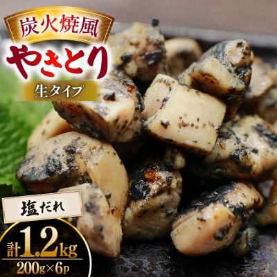 【新登場】 炭火焼鳥 炭火焼風やきとり 生タイプ 塩だれ 200g×6P(日向市)