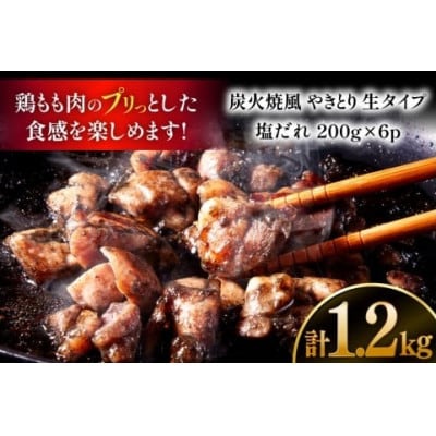 【新登場】 炭火焼鳥 炭火焼風やきとり 生タイプ 塩だれ 200g×6P(日向市)