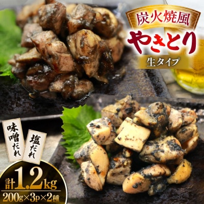 【新登場】 炭火焼鳥 炭火焼風やきとり 生タイプ 塩だれ 味噌だれ 各200g×3p 計6P(日向市