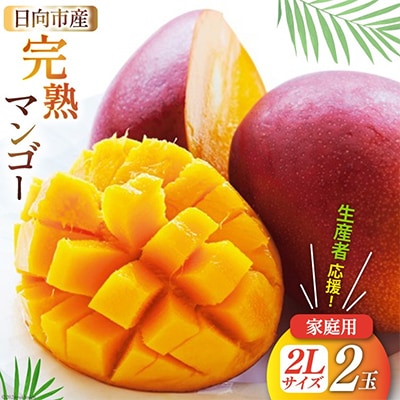 【2026年発送】「生産者応援・数量限定」 訳あり 宮崎 完熟 マンゴー 家庭用 2L 2玉