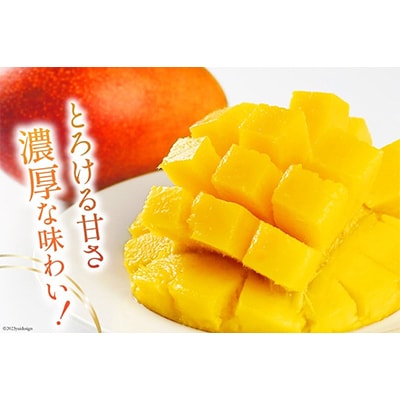 【2026年発送】「生産者応援・数量限定」 訳あり 宮崎 完熟 マンゴー 家庭用 2L 2玉