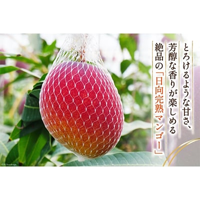 【2026年発送】「生産者応援・数量限定」 訳あり 宮崎 完熟 マンゴー 家庭用 3L 2玉