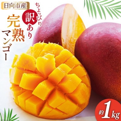 【2026年発送】 訳あり 宮崎 完熟 マンゴー 約1kg | ふるさと納税のお礼品