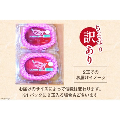 【2026年発送】 訳あり 宮崎 完熟 マンゴー 約1kg