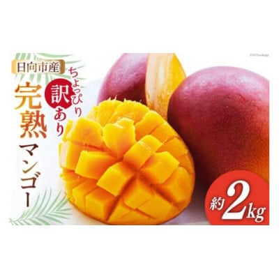 【2025年6月より順次発送】日向完熟マンゴー(訳あり約2kg)