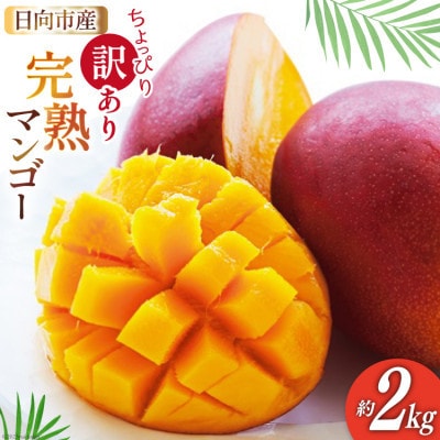 【2026年発送】 訳あり 宮崎 完熟 マンゴー 約2kg
