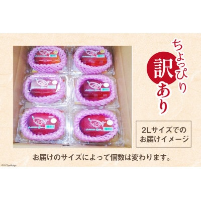 【2026年発送】 訳あり 宮崎 完熟 マンゴー 約2kg