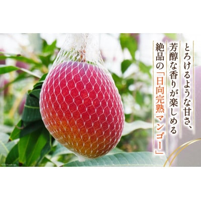 【2025年6月より順次発送】日向完熟マンゴー(訳あり約2kg)