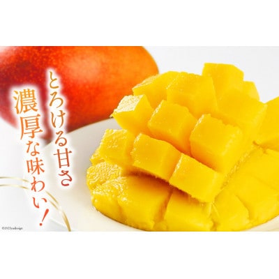 【2026年発送】 訳あり 宮崎 完熟 マンゴー 約2kg