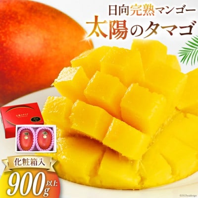 【2026年発送】マンゴー 太陽のタマゴ 秀品 900g以上 | ふるさと納税のお礼品