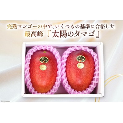 【2026年発送】マンゴー 太陽のタマゴ 秀品 900g以上